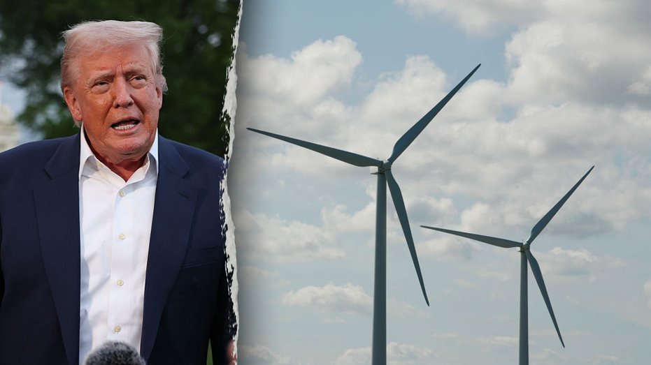 White House rips blue state Dems using ‘lawfare’ to protect wind industry