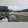 Fans look on