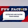 ostriches are faster than horses