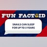 Snails can sleep for up to 3 years