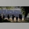 Horses on the track
