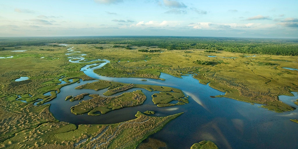 https://a57.foxnews.com/static.foxnews.com/foxnews.com/content/uploads/2025/06/1024/512/everglades-swampland.jpg?ve=1&tl=1