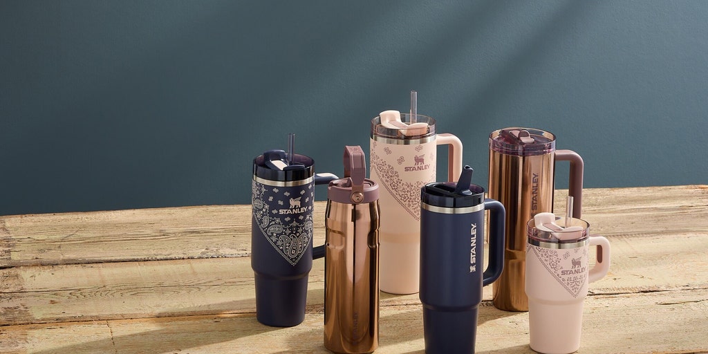 sullen JAREY ニットポロ　black&blue ours ローズ Helleborus Blue Diamond WJ 1gal Winter Jewels – Cornell Farm