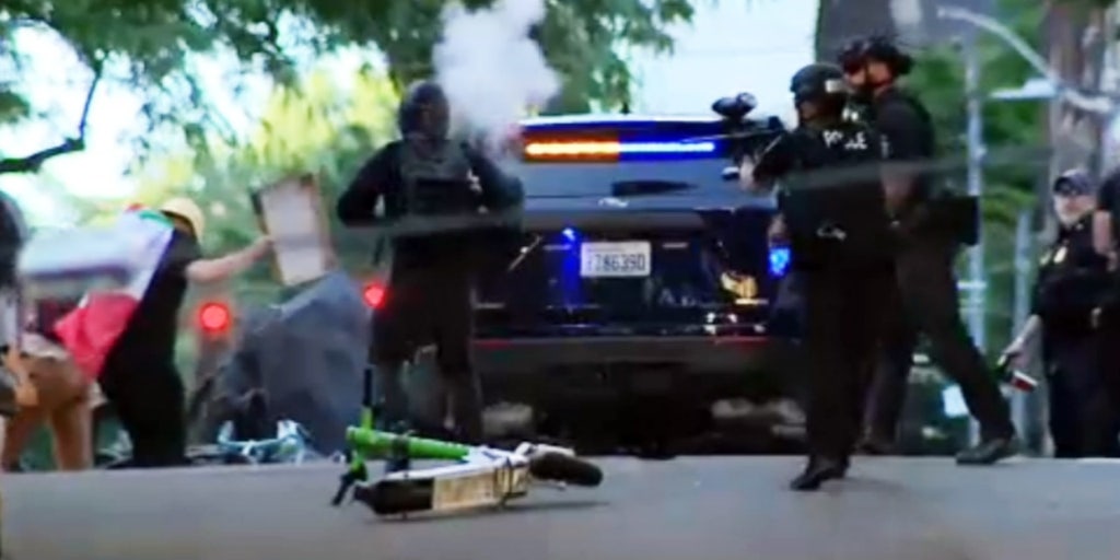 https://a57.foxnews.com/static.foxnews.com/foxnews.com/content/uploads/2025/06/1024/512/seattle-ice-protest.jpg?ve=1&tl=1