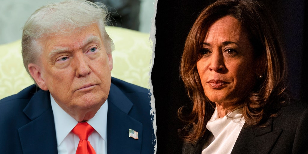 Trump revokes Kamala Harris' Secret Service protection, spokesperson says | Fox News