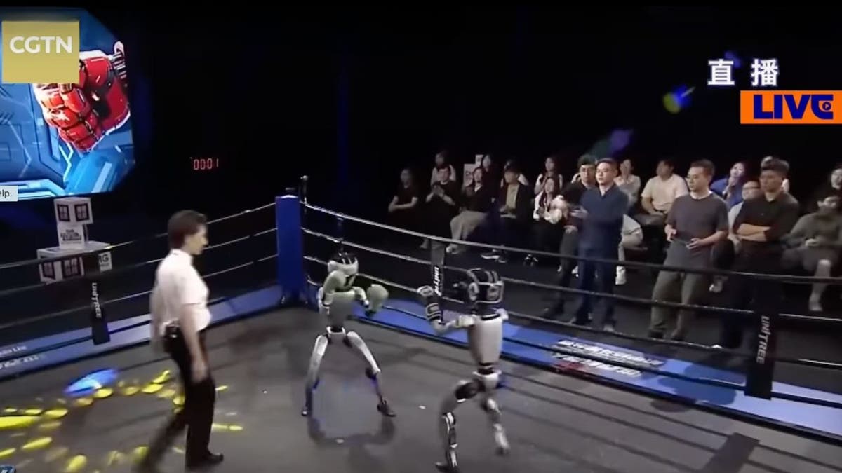 robot boxing 1