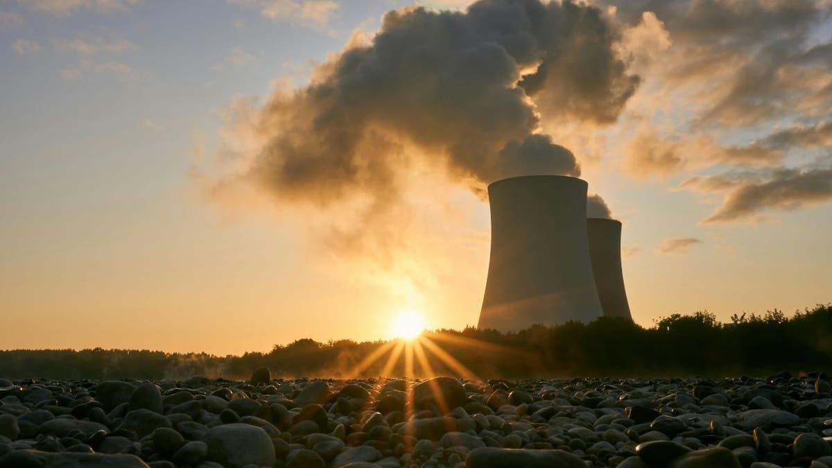 Nuke plant 2