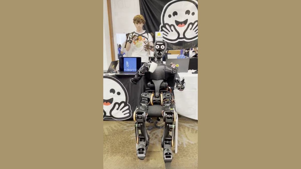 New robots make AI something anyone can try at home