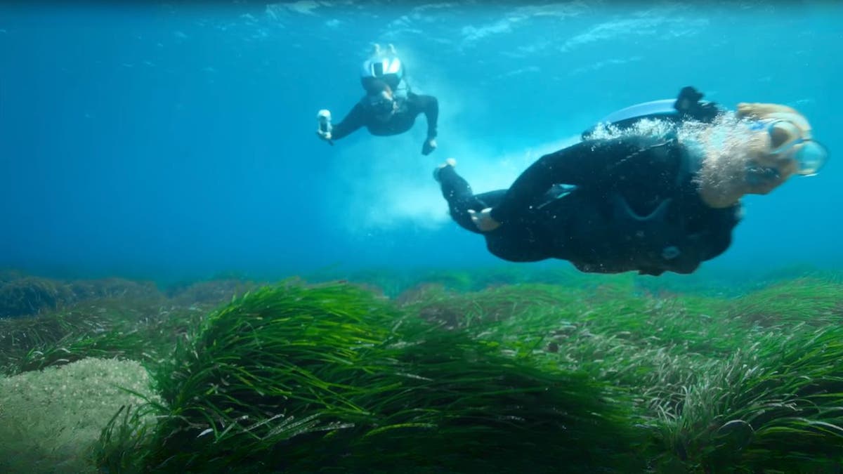 Underwater jetpack backpack lets you explore ocean depths