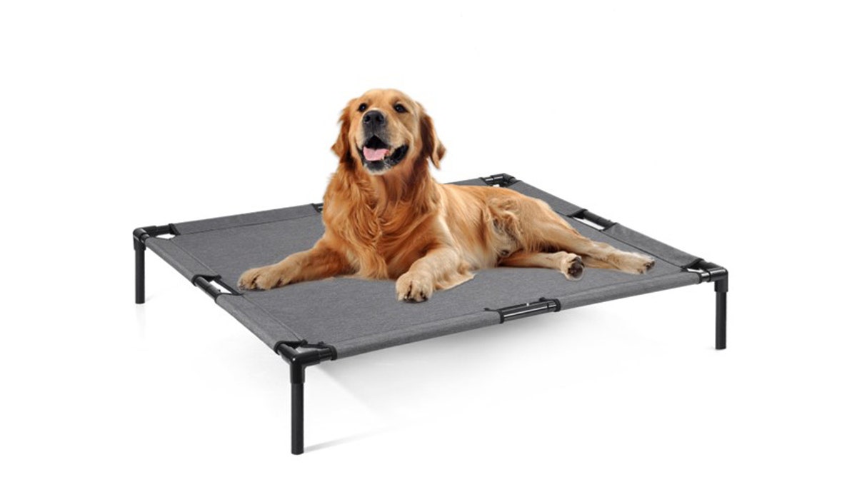 Give your pup somewhere comfortable to lie down this summer.
