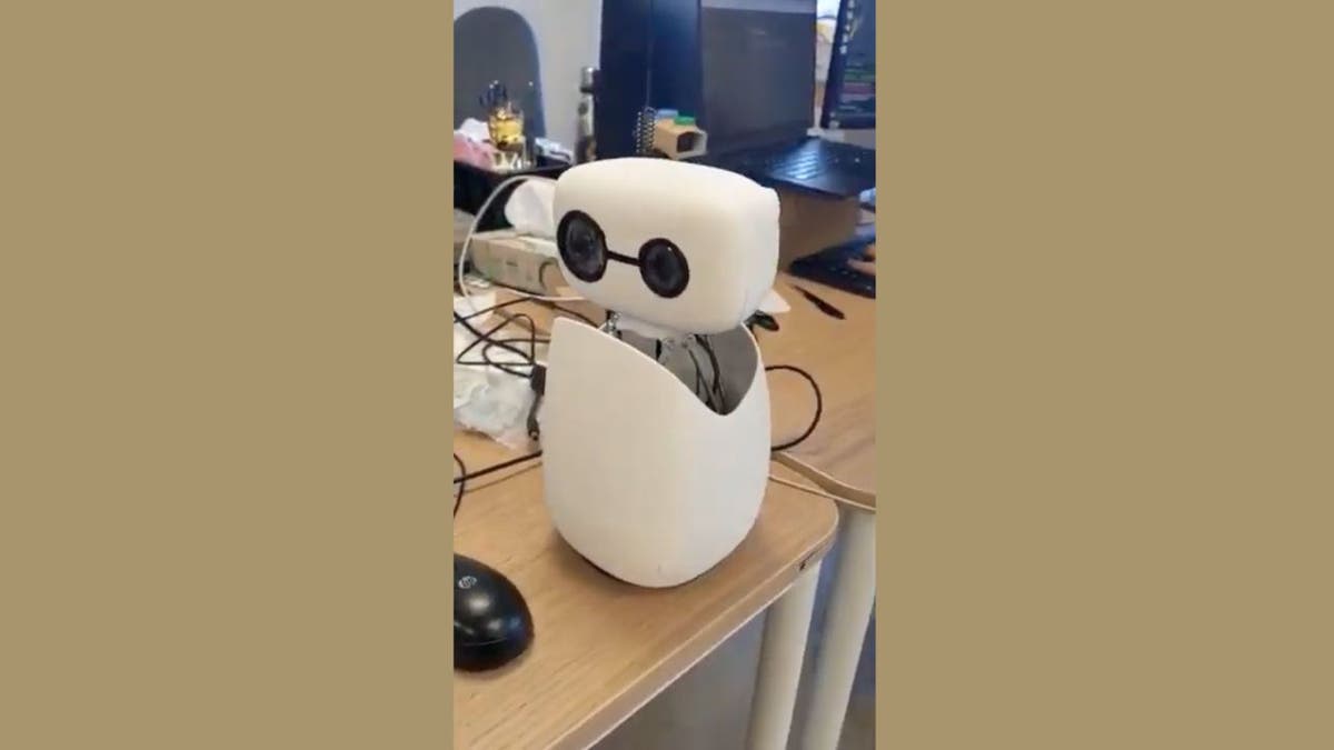 New robots make AI something anyone can try at home