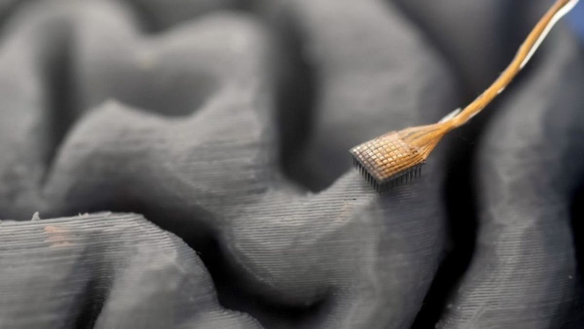 The AI learns to map these patterns to specific sounds, reconstructing speech in real-time.