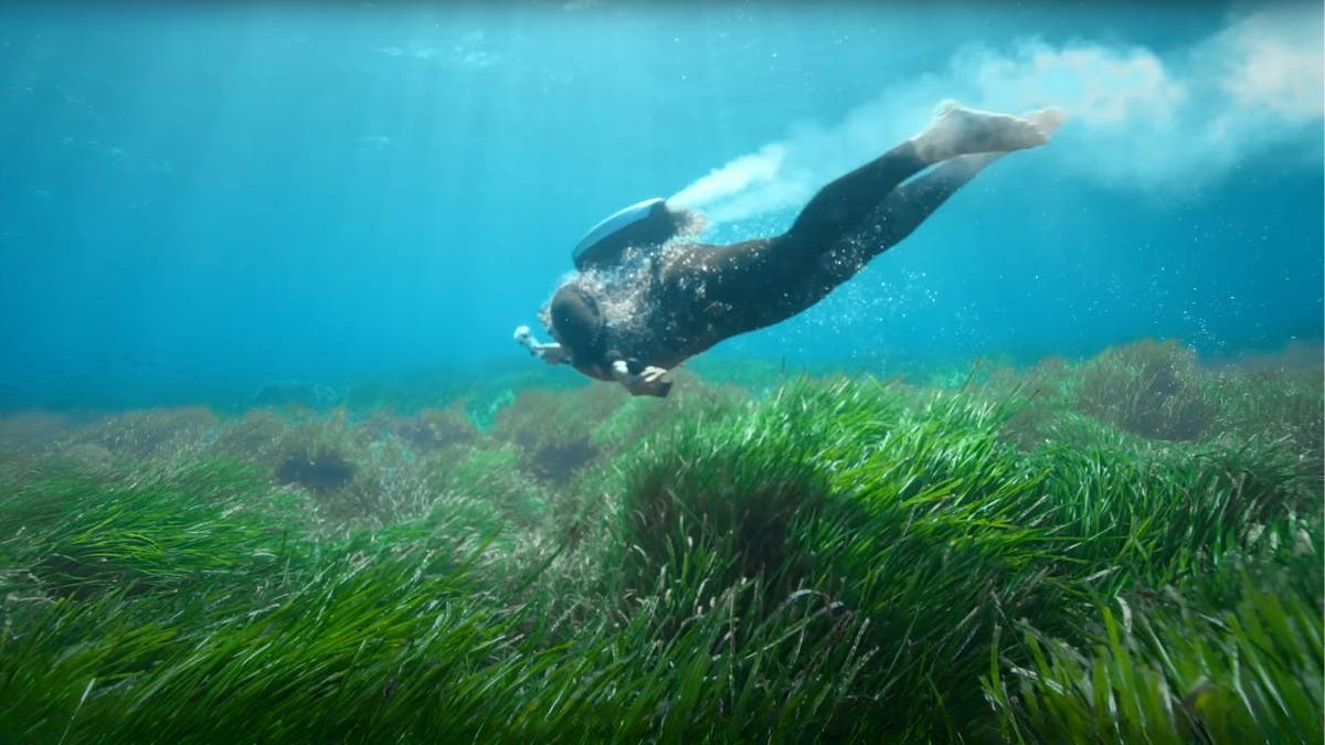 Underwater jetpack backpack lets you explore ocean depths
