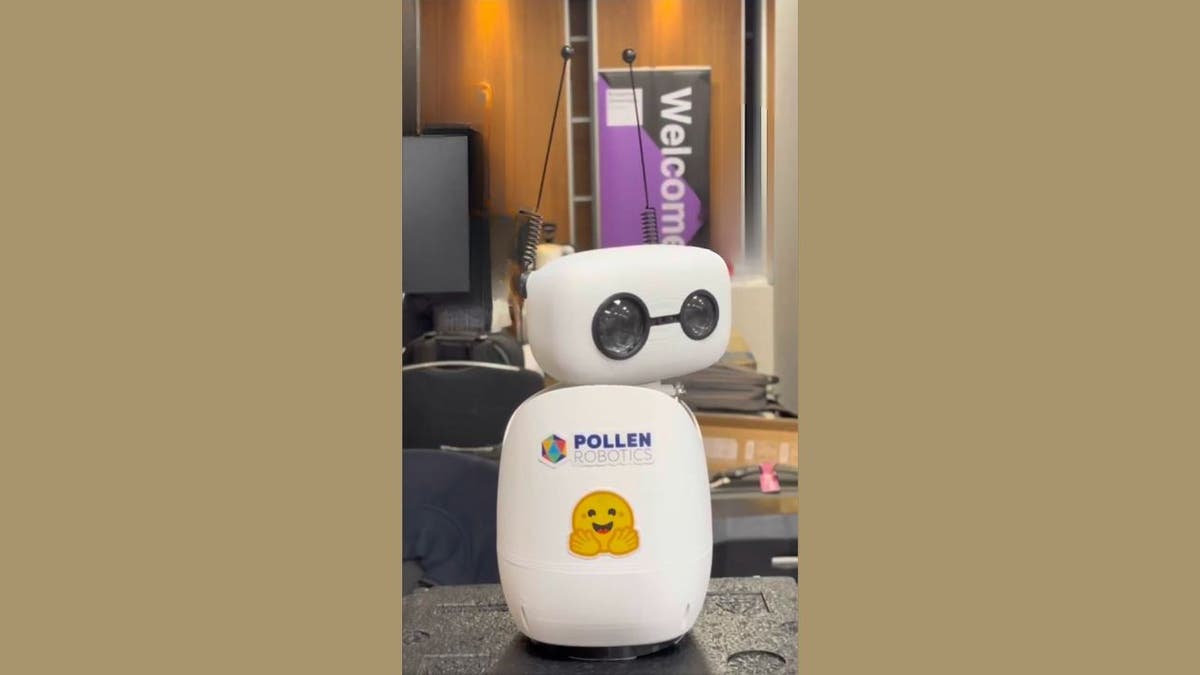 New robots make AI something anyone can try at home