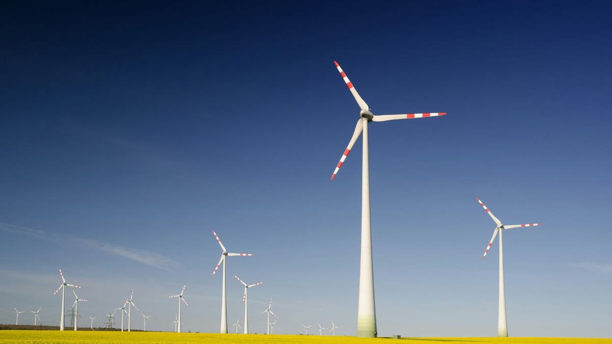 wind farm
