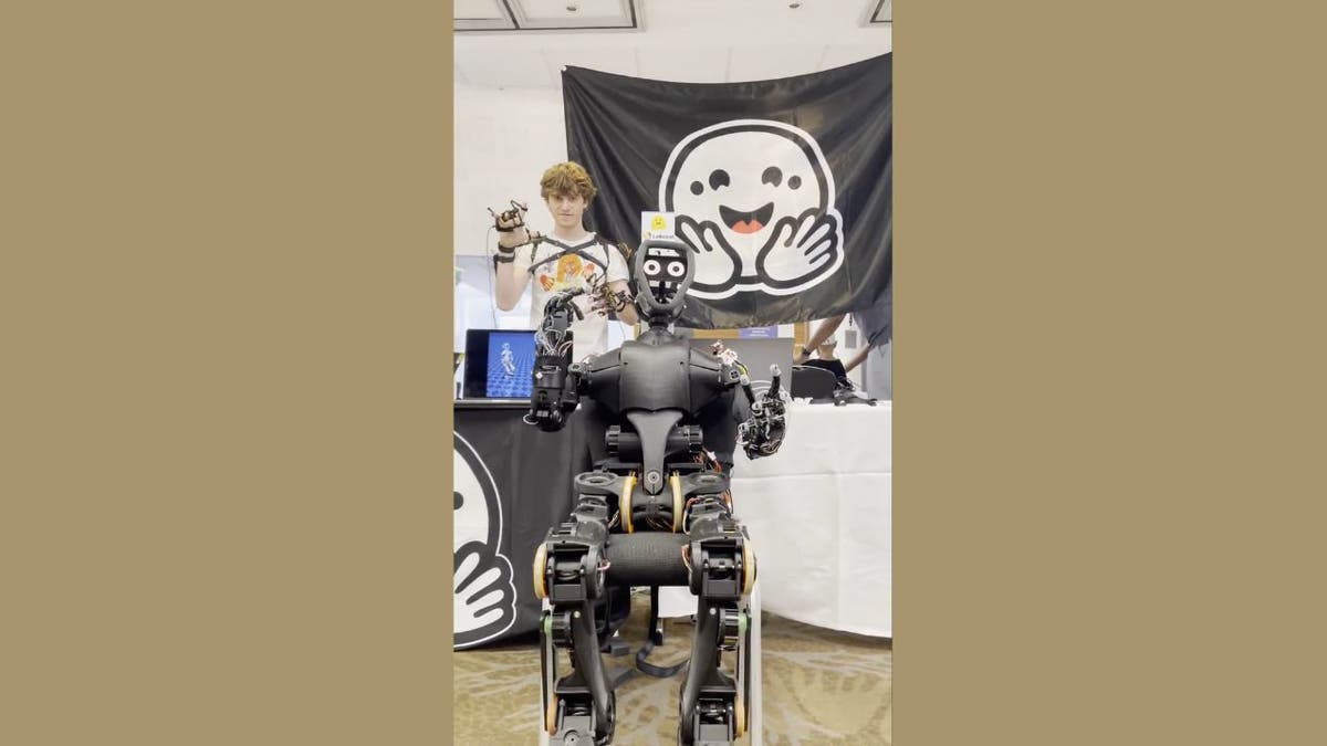 New robots make AI something anyone can try at home