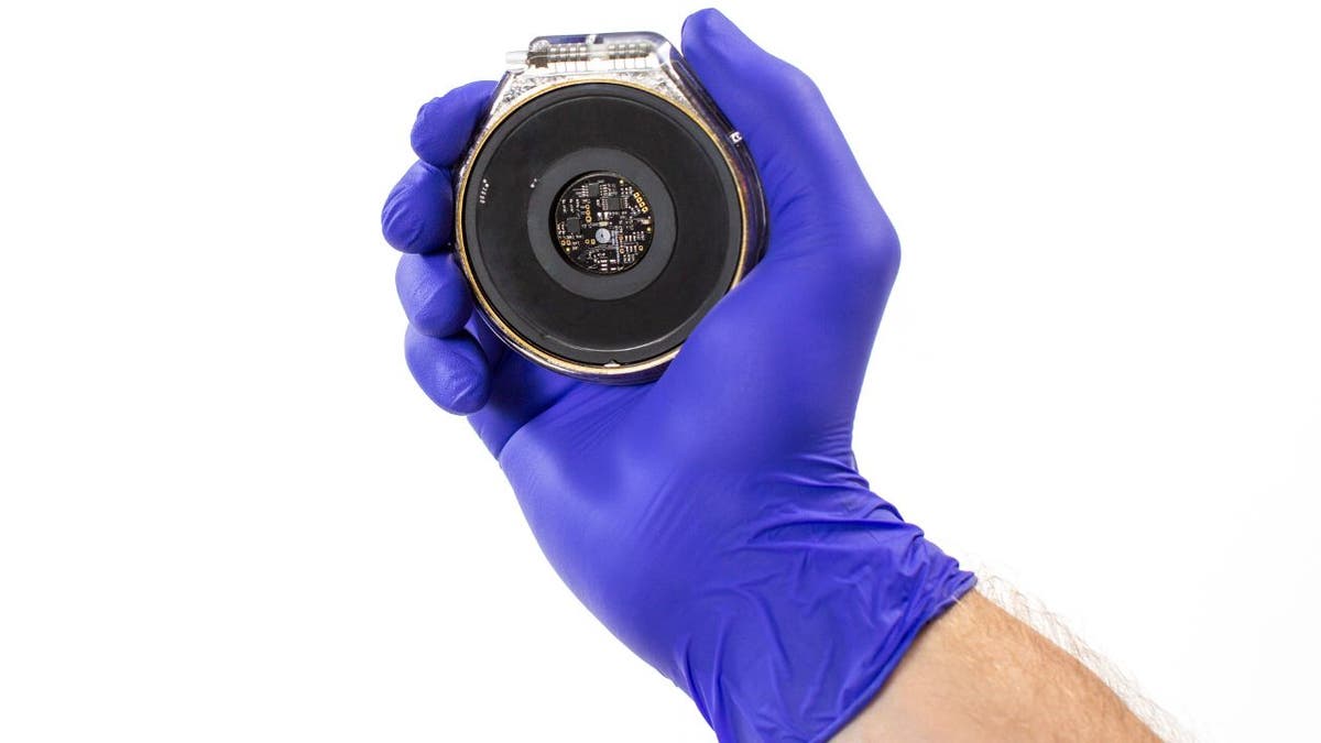 brain implant 6