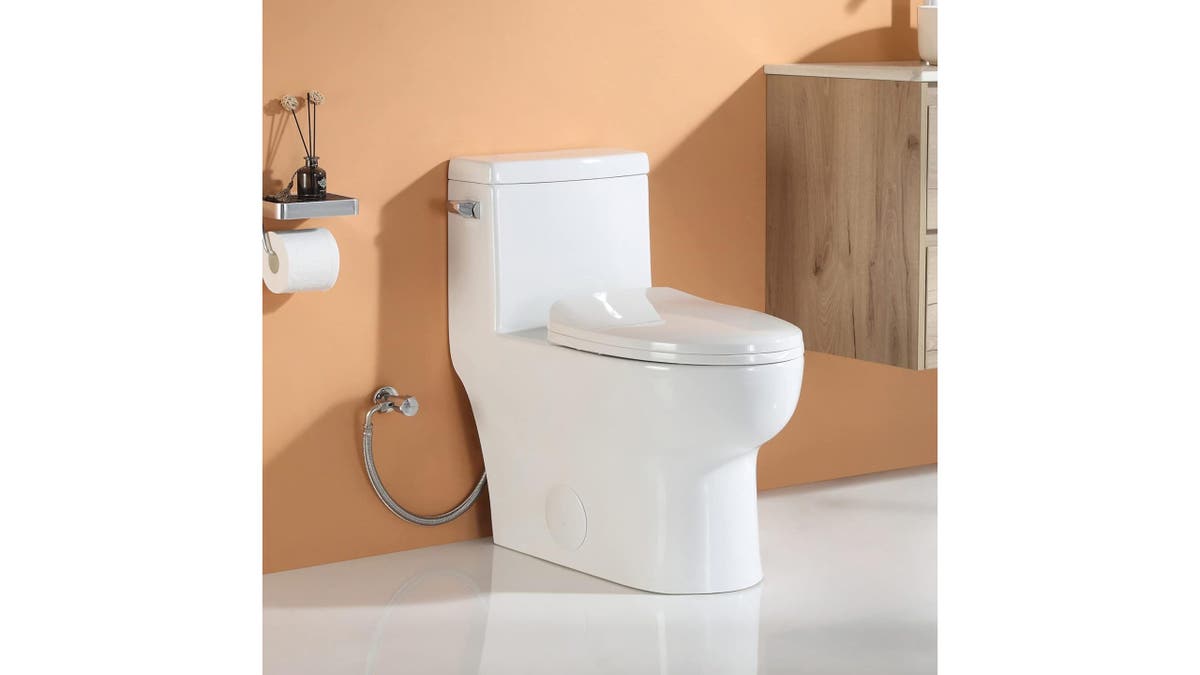 Get a new toilet that is easier to clean. 