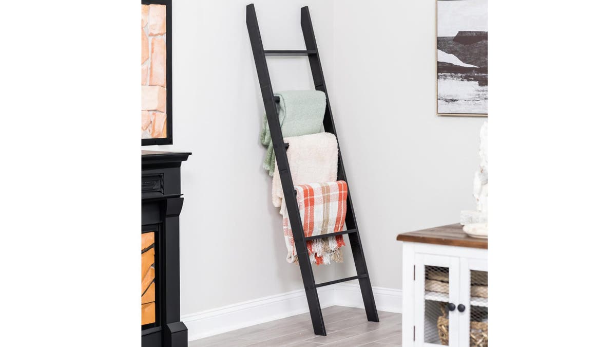 Store all your favorite blankets on a thin blanket ladder.