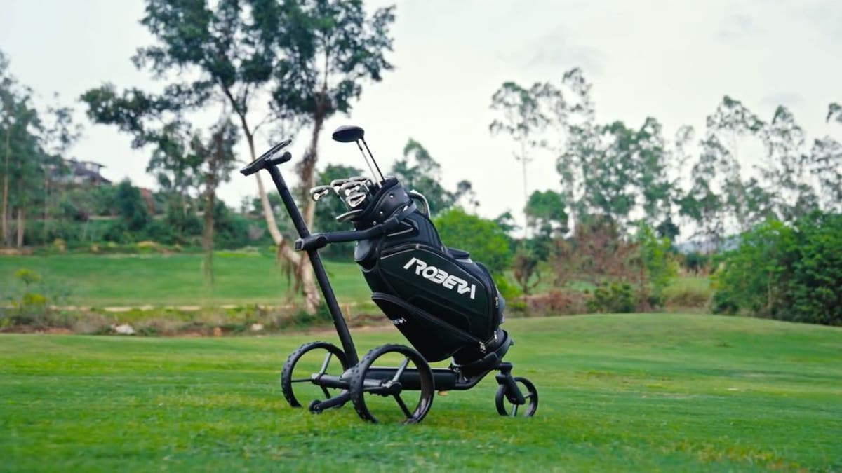 AI caddie 9