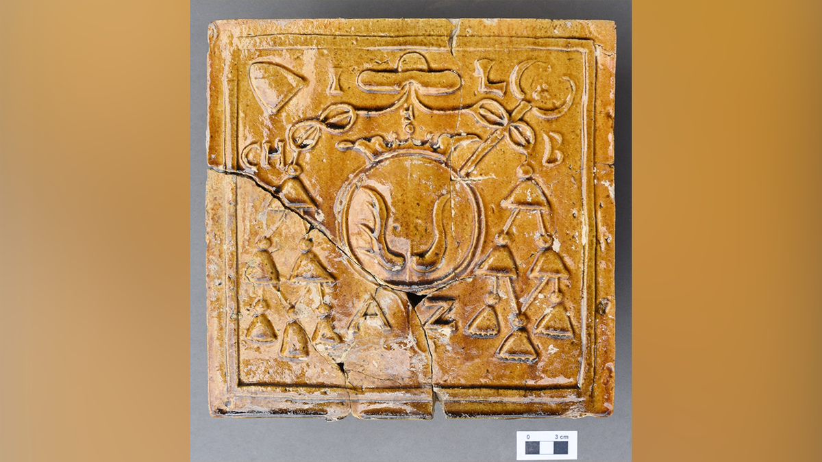 Close-up of orangish  tile found