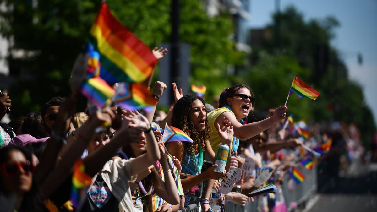 Hundreds participate in the annual DC Pride Parade on June 8, 2024. (Astrid Riecken/Washington Post via Getty)