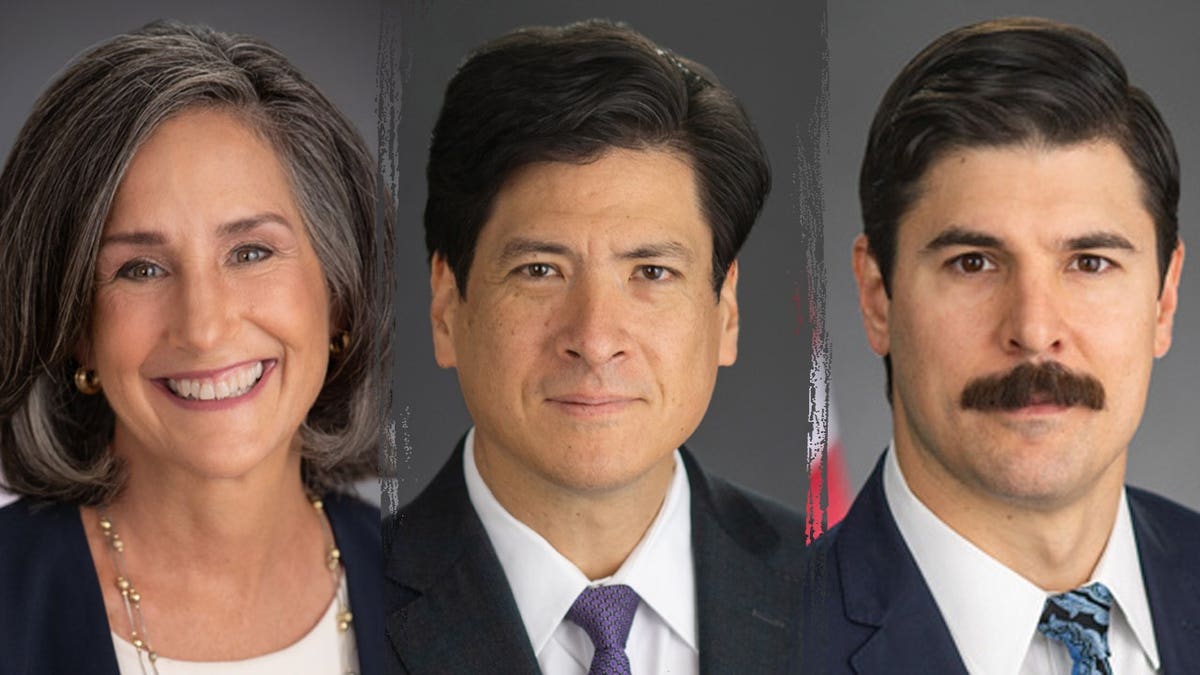 CPSC board members Mary Boyle, Alexander Hoehn-Saric, and Richard Trumka Jr.