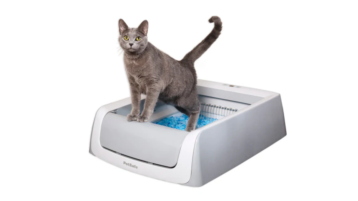 The PetSafe ScoopFree uses scented disposable trays filled pinch crystal litter that absorbs moisture and odors.