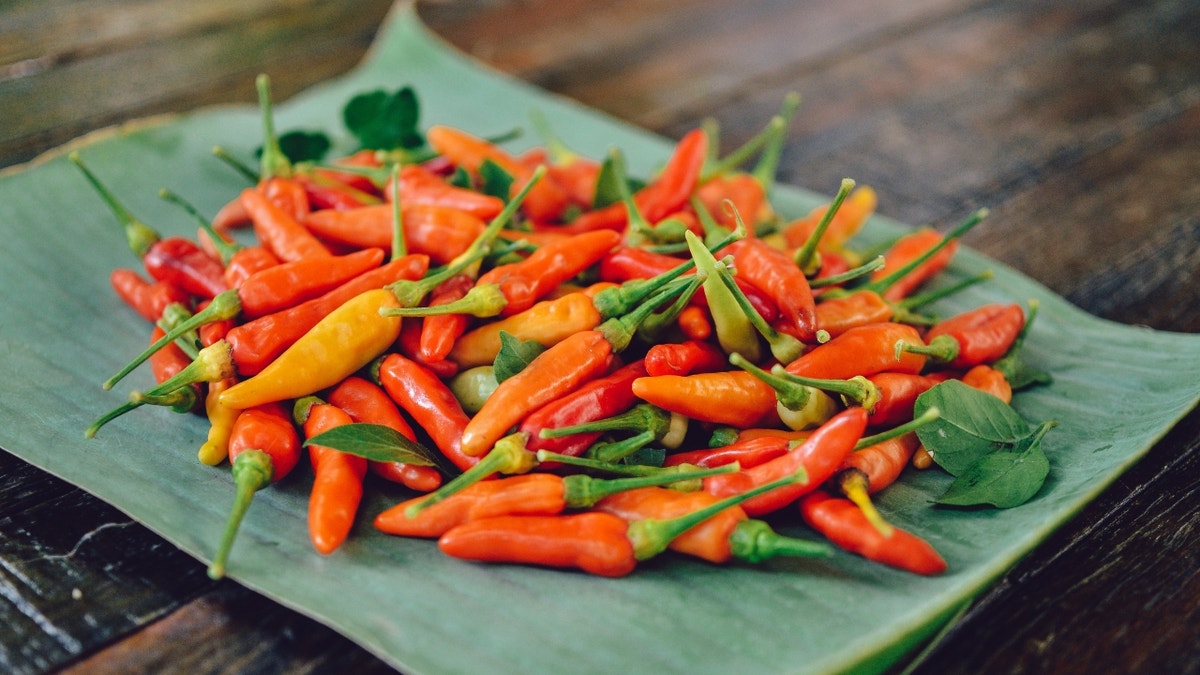 Multi-colored thai chili peppers
