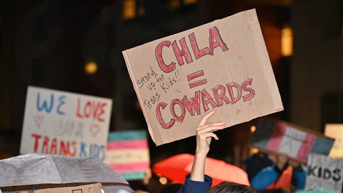 Children's Hospital Los Angeles protest.