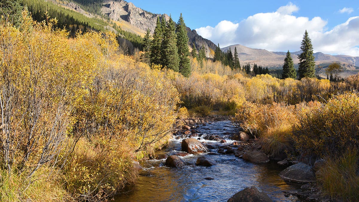Stream successful Colorado wilderness area