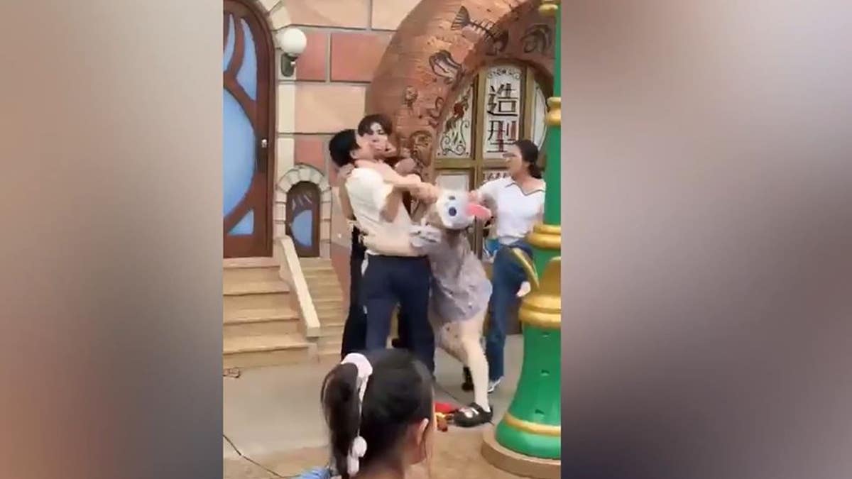 Disneyland fight