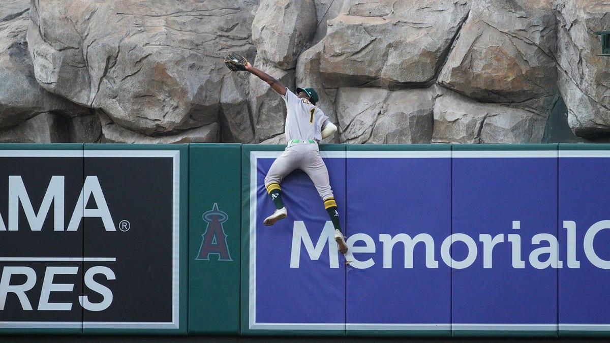 Denzel Clarke robs home run