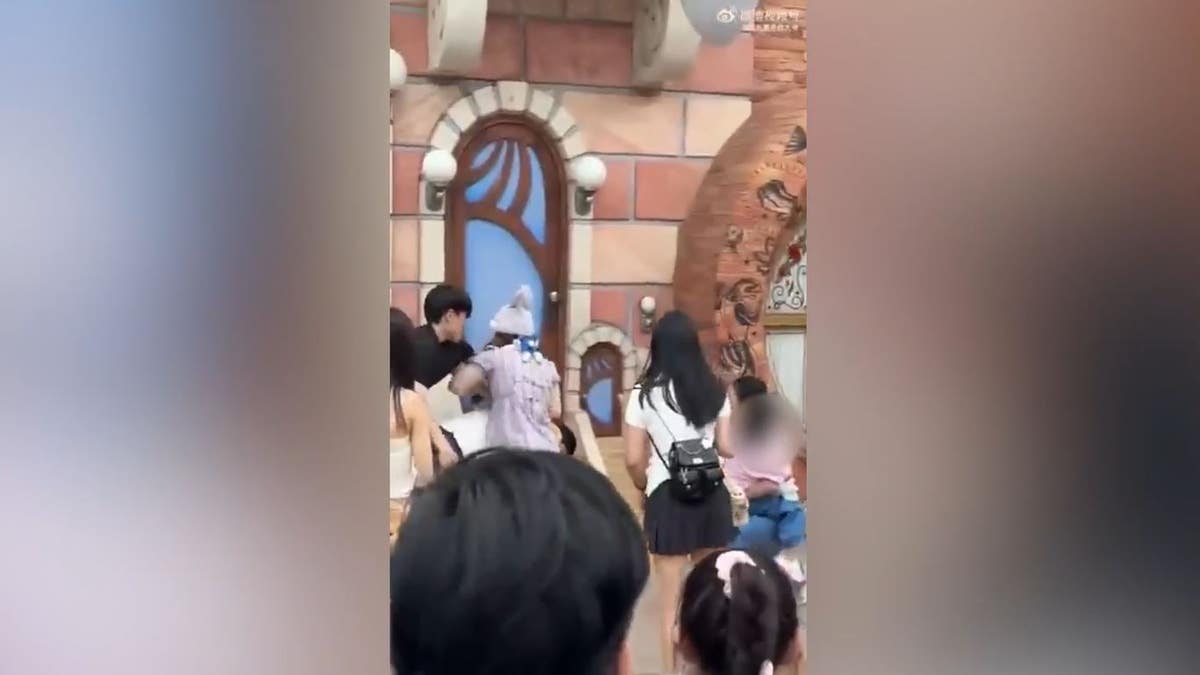 Disneyland China fight