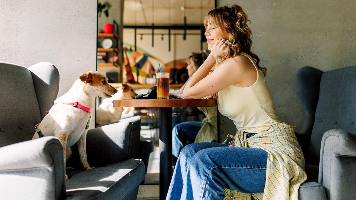 The dog is sitting in a chair over a woman in a cafe.