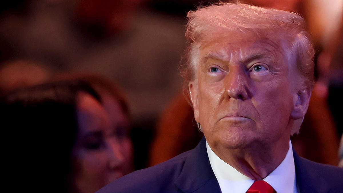 Donald Trump at UFC 316
