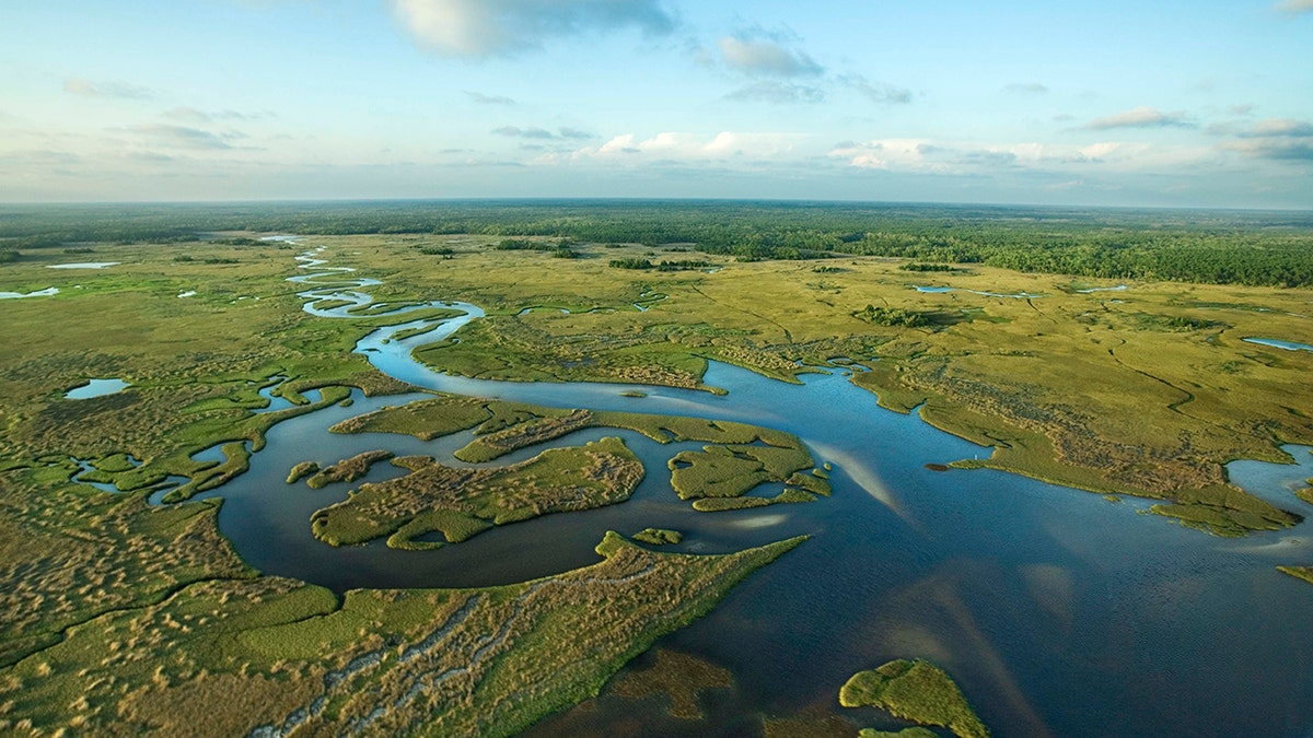 Aerial view Florida Everglades Green Marshland Blue Winding River