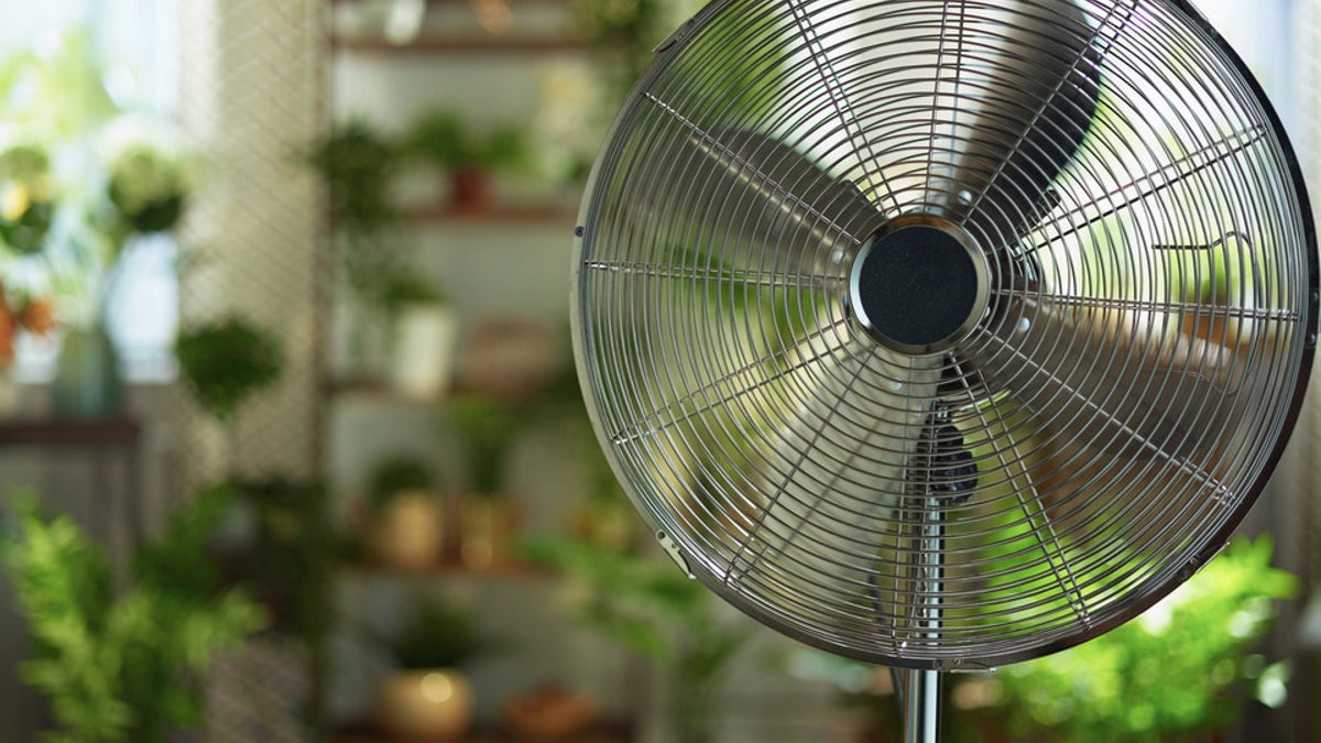 Fans are summertime  staples, particularly  erstwhile   temperatures rise. These portable and household   fans support  you cool, nary  substance  wherever  you are. 