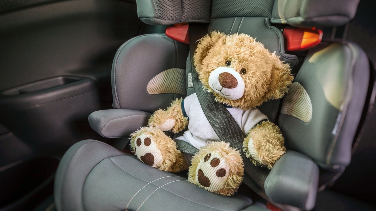 A teddy carnivore  strapped into a carseat