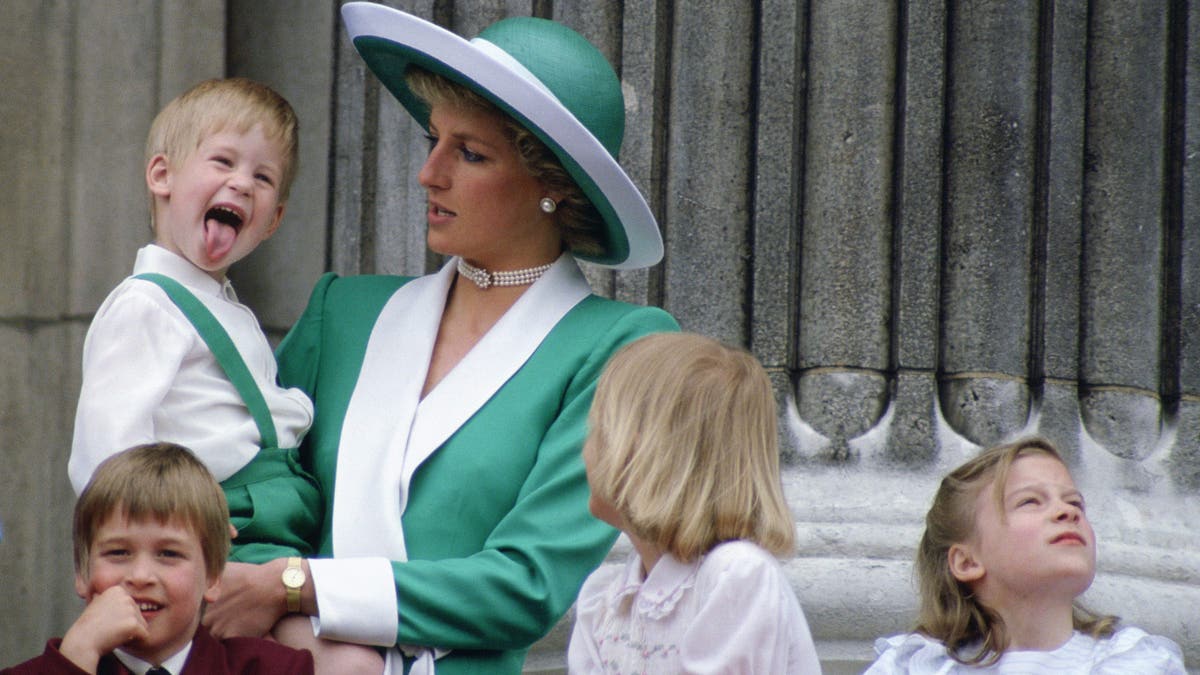 Prince Harry, Princess Diana