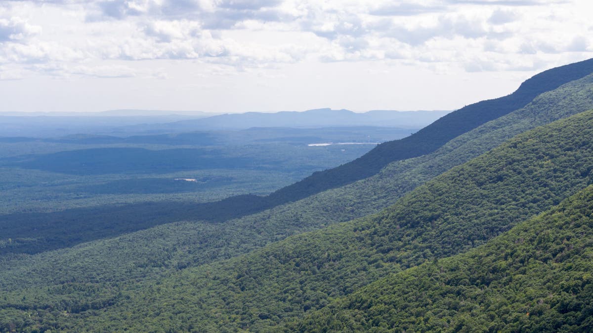 Kaaterskill Wild Forest