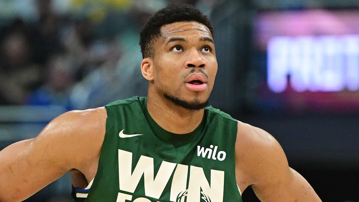 Giannis Anteotkounmpo looks on