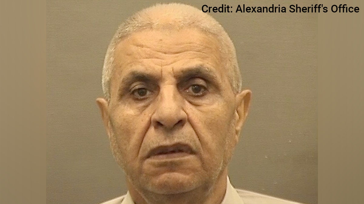 Hamed Aly Marie mugshot