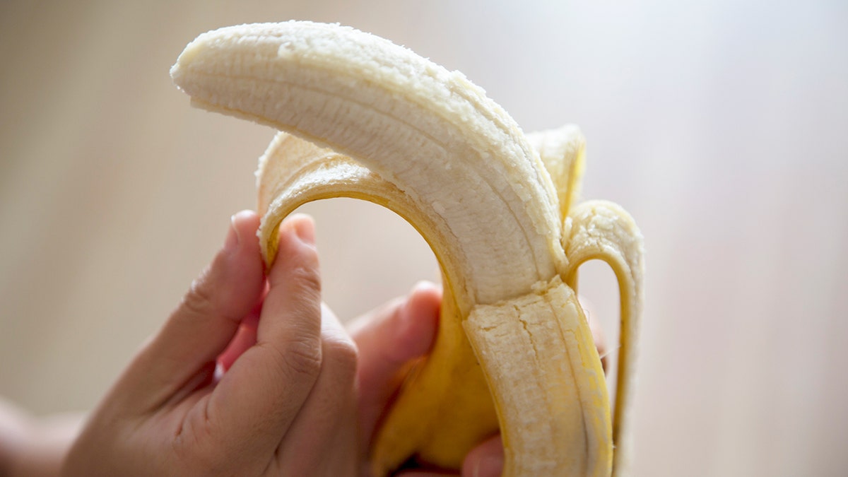 A manus unpeels a banana.