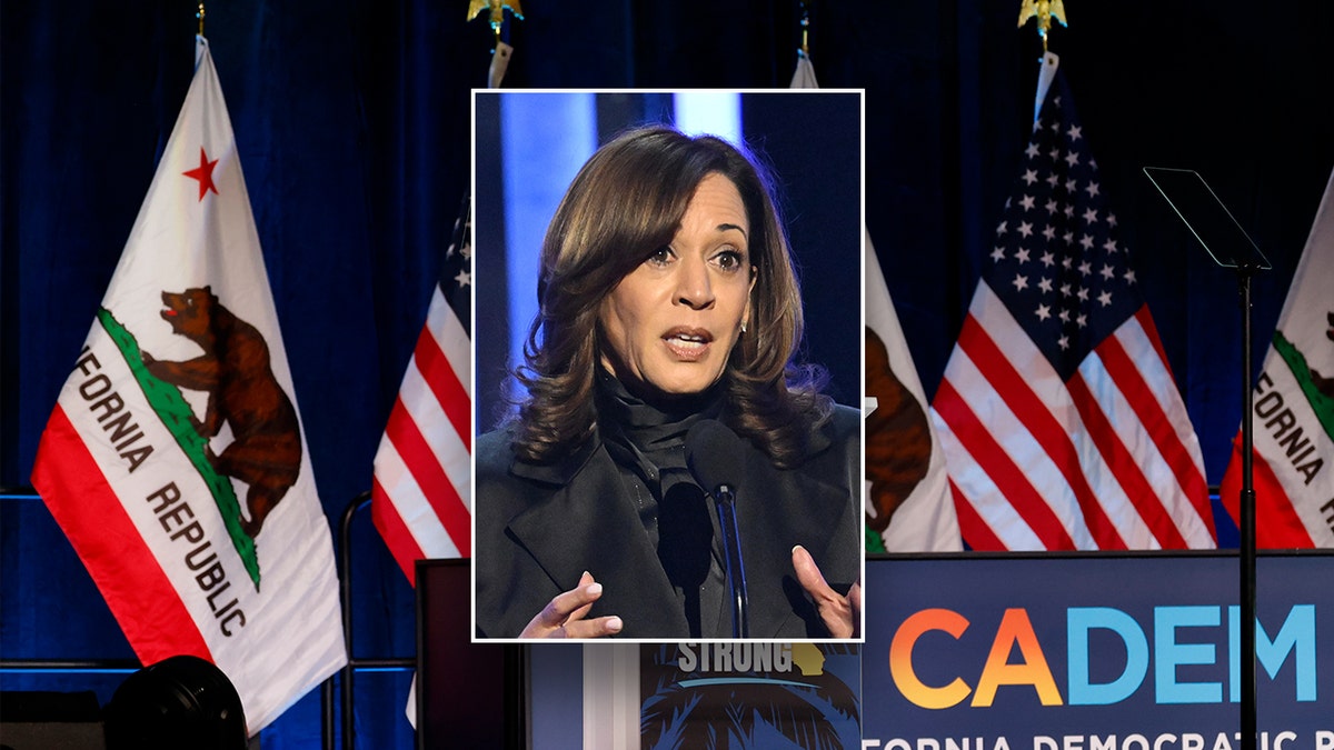 Kamala Harris, California Democratic convention