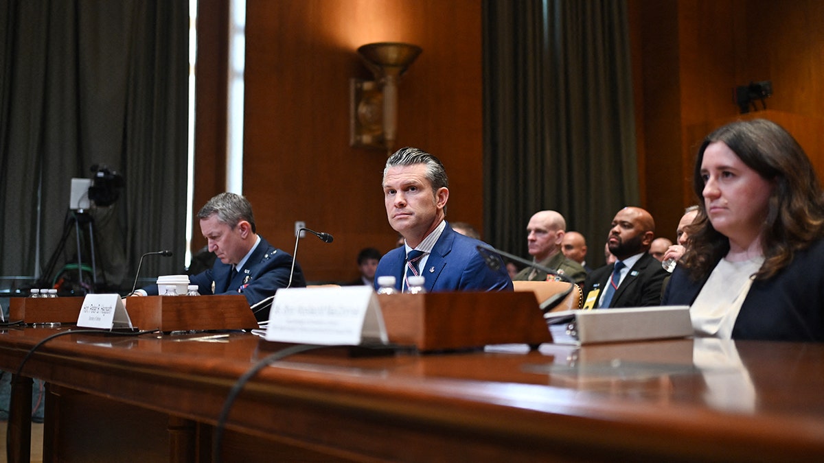 Hegseth and other witnesses at Senate Appropriations Committee