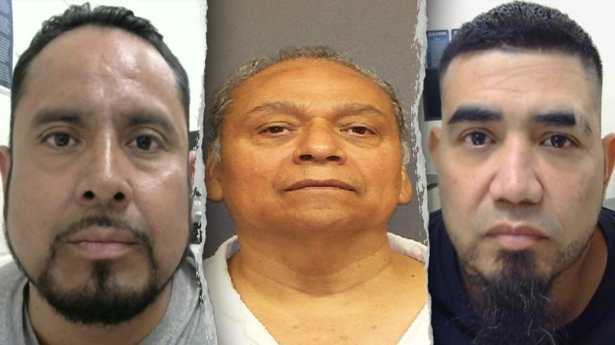 Illegal aliens rounded up in Texas ICE operation