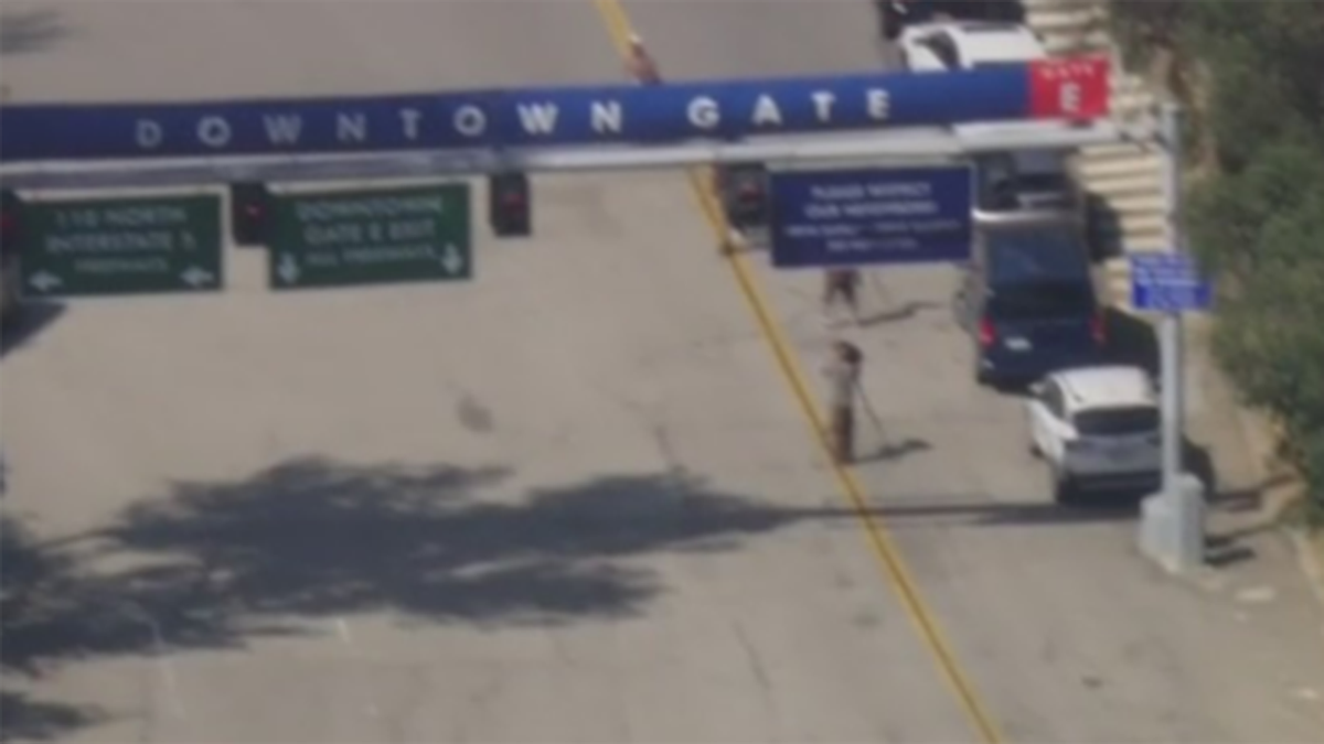 ICE Agents extracurricular Dodgers ballpark