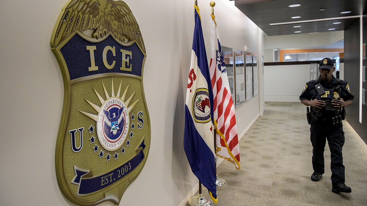 ICE logo