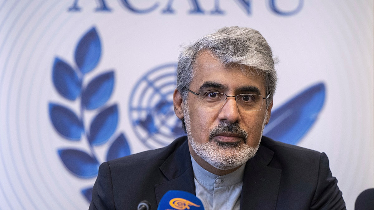 Iranian authoritative to the UN